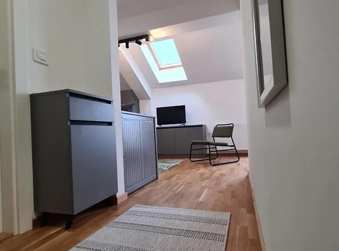 New Now Living Újvidék